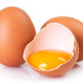 卵の高い栄養価
